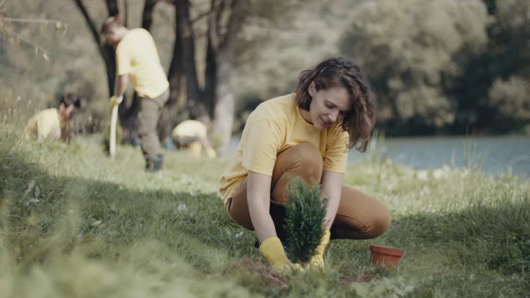 Best Root Management and Removal  in St Francis, KS