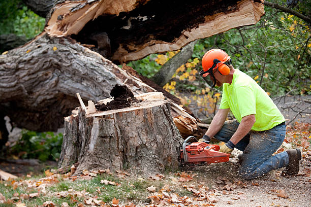 Mulching Services in St Francis, KS